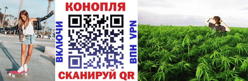 Бошки Шишки SATIVA & INDICA  наркотики  сайты даркнета телеграм  Кувандык 